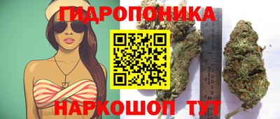 СК Усть-Джегута