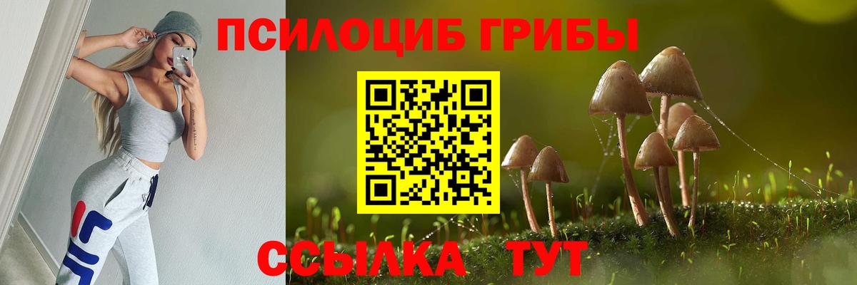 Псилоцибиновые грибы Cubensis  Вход с VPN  Баксан  Галлюциногенные грибы MAGIC MUSHROOMS 